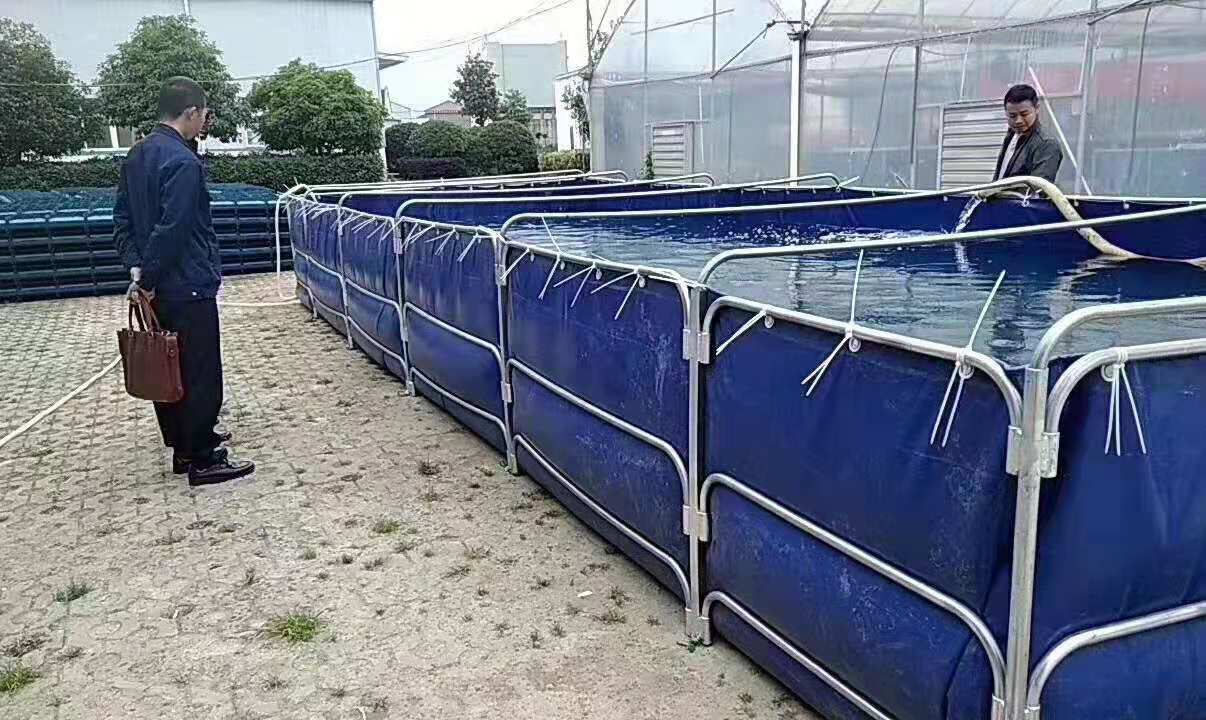 基地大棚水產(chǎn)養(yǎng)殖池